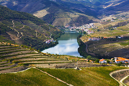 Photo of Mountainous Douro Region with Terraces